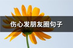 伤心发朋友圈句子(汇总67句)