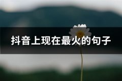 抖音上现在最火的句子(优选65句)
