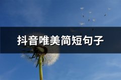 抖音唯美简短句子(汇总66句)