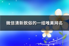 微信清新脱俗的一组唯美网名(优选667个)
