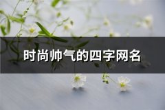时尚帅气的四字网名(优选528个)