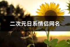 二次元日系情侣网名(110个)