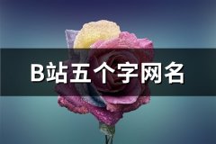 B站五个字网名(精选352个)