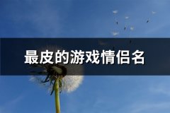 最皮的游戏情侣名(优选69个)