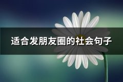适合发朋友圈的社会句子(65句)