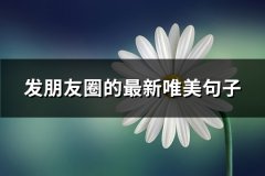 发朋友圈的最新唯美句子(优选67句)