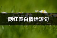 网红表白情话短句(实用65句)