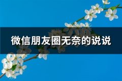 微信朋友圈无奈的说说(精选67句)