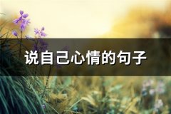 说自己心情的句子(共71句)