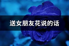 送女朋友花说的话(精选66句)