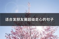 适合发朋友圈超级走心的句子(共66句)