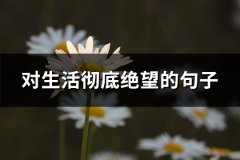 对生活彻底绝望的句子(热门61句)