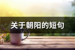 关于朝阳的短句(精选65句)