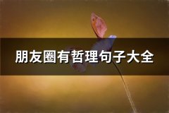 朋友圈有哲理句子大全(必备63句)
