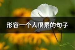 形容一个人很累的句子(70句)