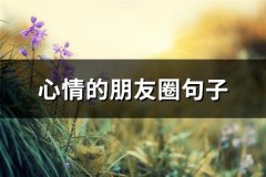 心情的朋友圈句子(精选113句)