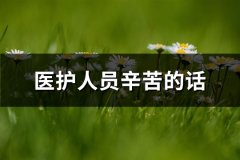医护人员辛苦的话(共70句)