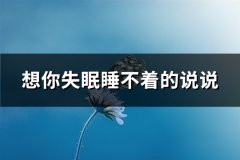 想你失眠睡不着的说说(共71句)