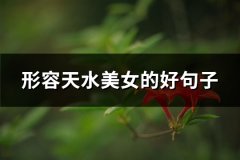 形容天水美女的好句子(共79句)