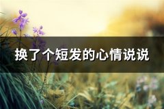 换了个短发的心情说说(必备60句)