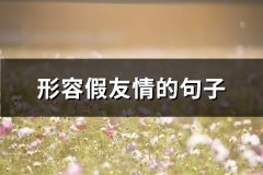 形容假友情的句子(优选63句)