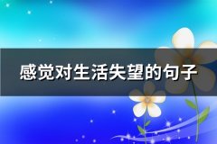 感觉对生活失望的句子(热门61句)