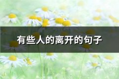 有些人的离开的句子(必备47句)