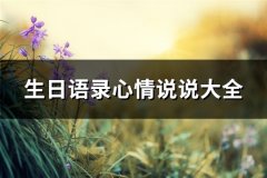 生日语录心情说说大全(优选60句)