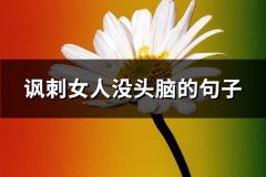 讽刺女人没头脑的句子(精选116句)