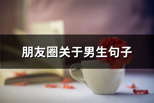 朋友圈关于男生句子(85句) 朋友圈关于男生句子(85句)