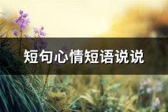 短句心情短语说说(共81句)