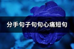 分手句子句句心痛短句(精选89句)