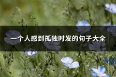 一个人感到孤独时发的句子大全(精选62句)