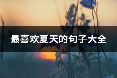 最喜欢夏天的句子大全(共62句)