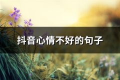 抖音心情不好的句子(共91句)