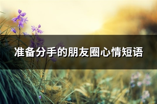 准备分手的朋友圈心情短语(98句)