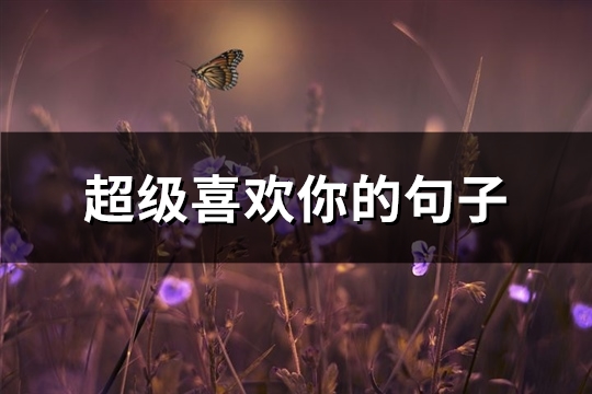 超级喜欢你的句子(115句)