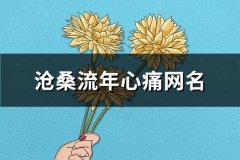 沧桑流年心痛网名(精选555个)