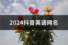2024抖音英语网名(精选120个)