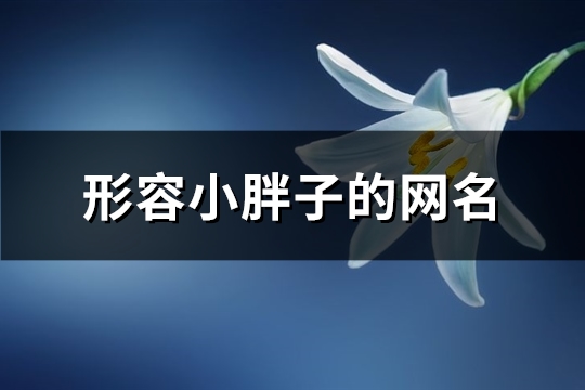 形容小胖子的网名(68个) 形容小胖子的网名(68个)